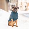 GF Pet - Arctic Sweater - Teal - 2XL