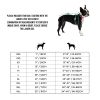 GF Pet - Arctic Sweater - Teal - 2XL