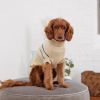 GF Pet - Arctic Sweater - Sand - 3XL