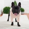 GF PET 4-Way Stretch Micro Polar Fleece Base Layer w/ front legs - Pink