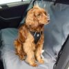 No-choke, breathable, comfortable mesh travel harness - Black