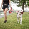 Durable Nylon Reflective Dog Collar w/ White Contrast Stitching - Red